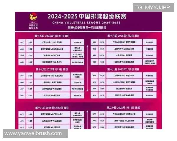 男排超级联赛江苏队对决强敌精彩赛事回顾与分析