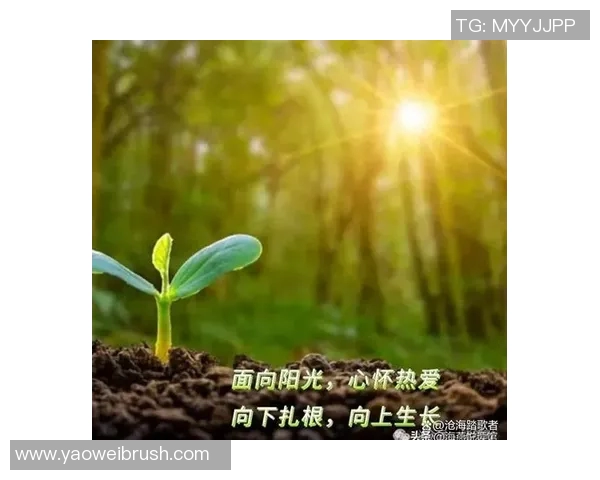 阳光与神秘人之间的较量是否会因延期而改变命运走向