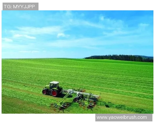 零点与希望的交锋2017年那些改变我们命运的瞬间与思考