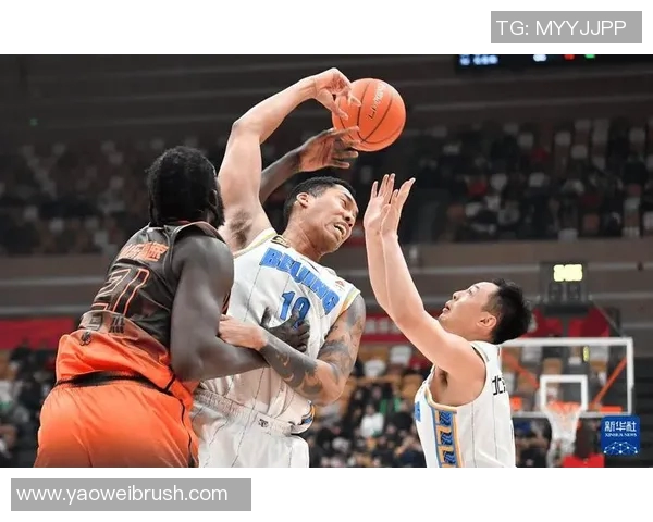 陶汉林：从篮球场上的拼搏到人生舞台的精彩转身