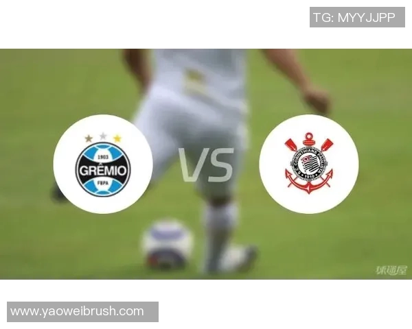 巴西足球甲级联赛与俄罗斯超级联赛的精彩对决分析与比较